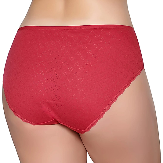 Gümüş 3079 Kadın Jakarlı Yüksel Bel Bato Külot Bordo 12 li Paket