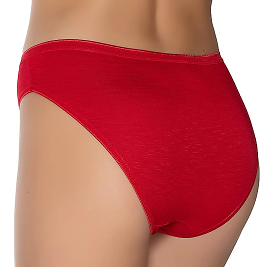 Gümüş 6045 Kadın Bambu İnce Bel Özel Dokulu Bikini Külot Karışık 6 lı Paket