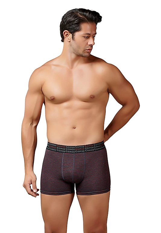 Gümüş 3114 Erkek Likralı Çizgili Boxer Antrasit 12 li Paket